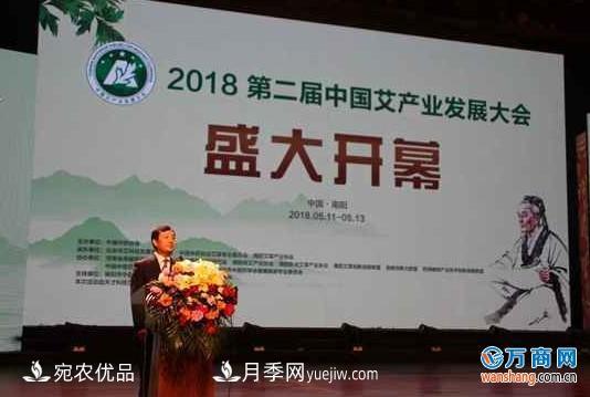 2018第二届中国艾产业发展大会在南阳成功举办(图1)