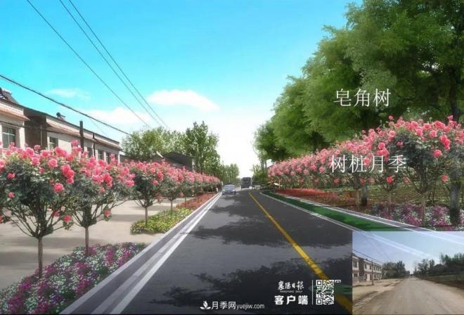 襄阳樊城区景观“一号公路”下个月通车，颜值惊人！(图8)
