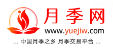 中国上海龙凤419，月季品种介绍和养护知识分享专业网站(图1)