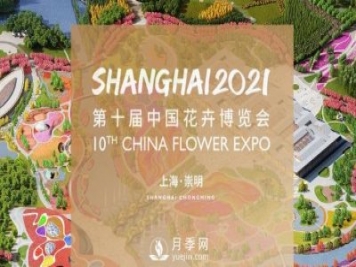 5月，第十届中国花博会将在崇明拉开帷幕