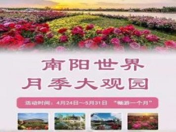 第十二届南阳月季花会4月29日开幕，活动丰富多彩