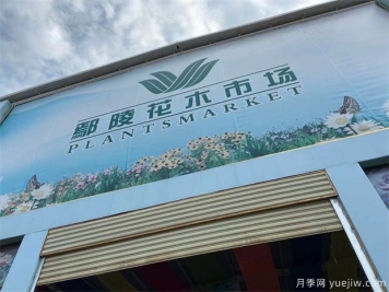 鄢陵县花木产业未必能想到的那些问题