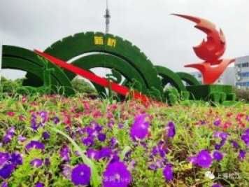 上海松江这里的花坛、花境“上新”啦!特色景观升级!