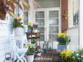 上海发布《窗阳台绿化推荐植物名录》，月季花在列，好不好养来看看
